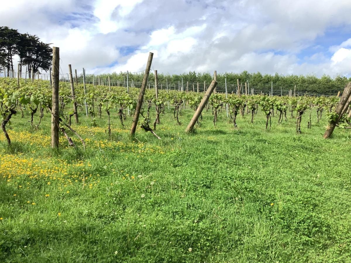 Apartamento Polgoon Vineyard Annex Penzance Exterior foto